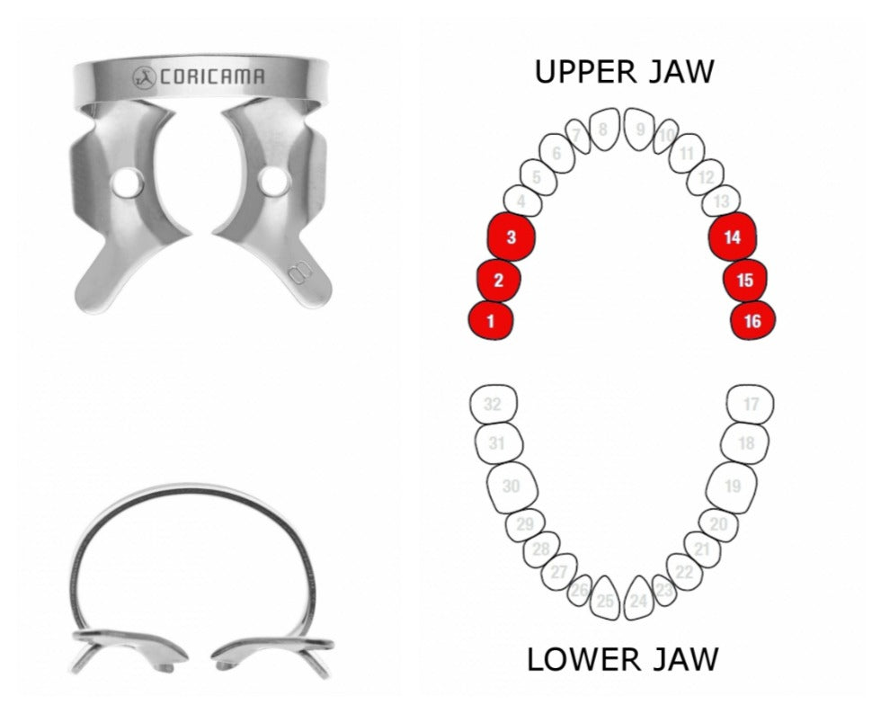 RUBBER DAM CLAMP