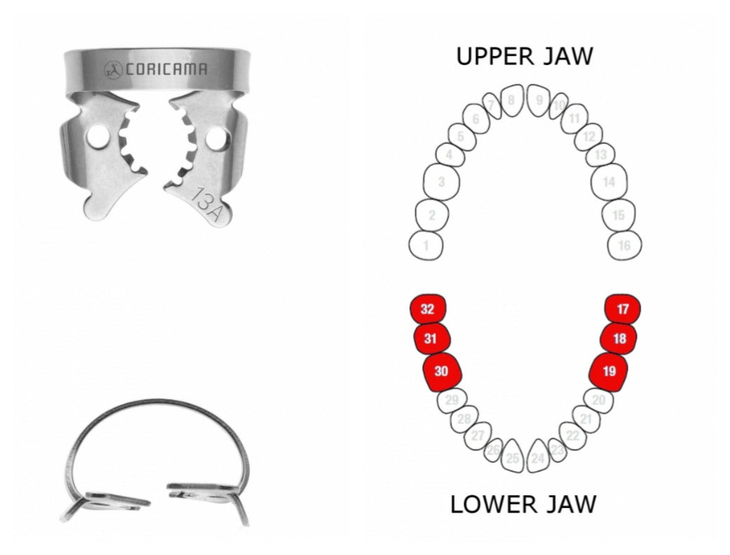 RUBBER DAM CLAMP