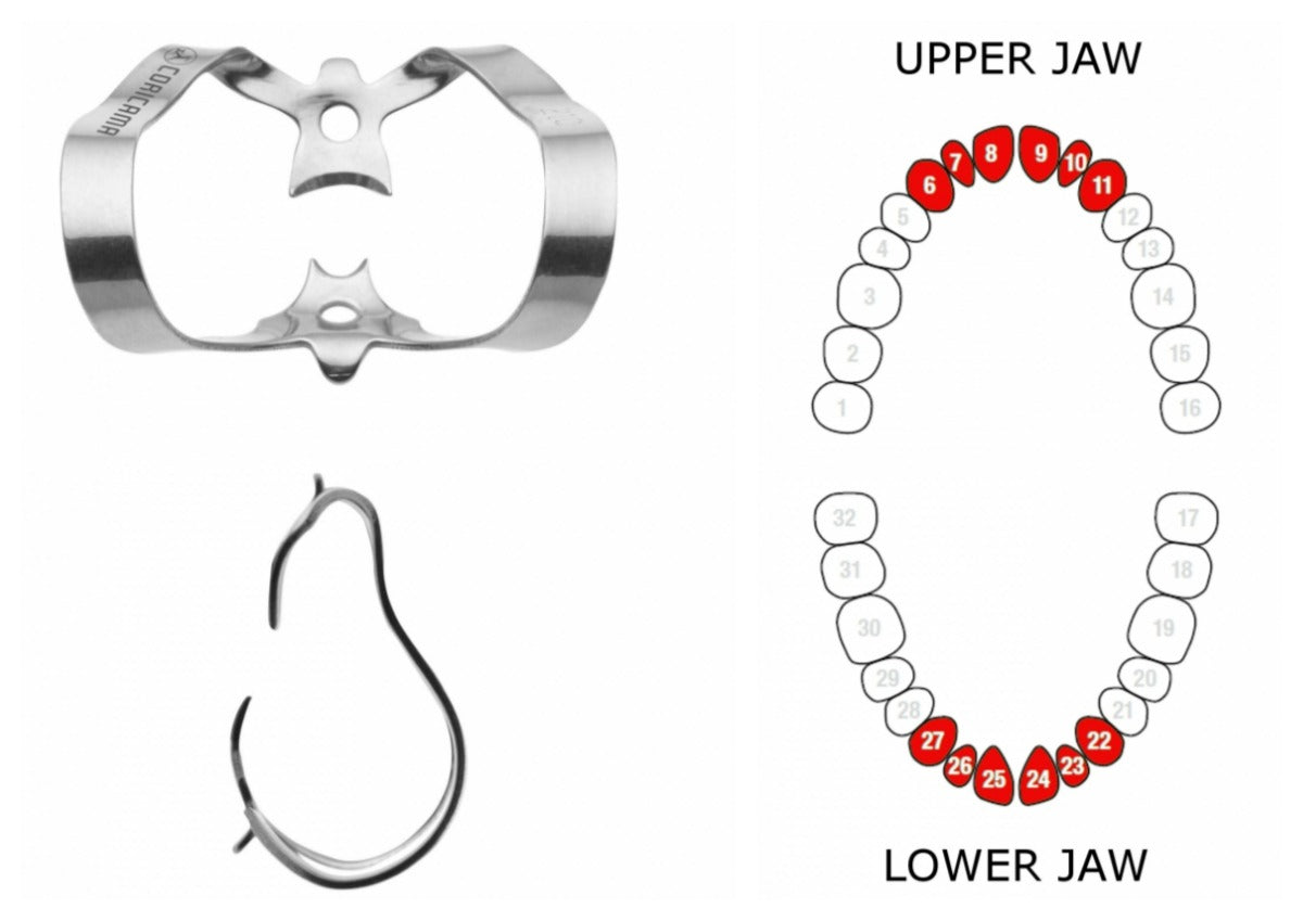 RUBBER DAM CLAMP