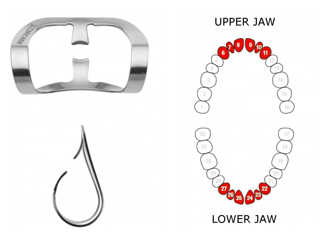 RUBBER DAM CLAMP