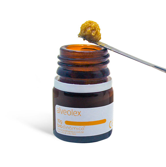 Alveolex - Alveolar Dressing with Propolis