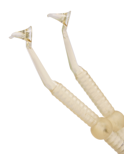 (Contact + Gold) - (2 Instruments For Contact Point Reconstruction)