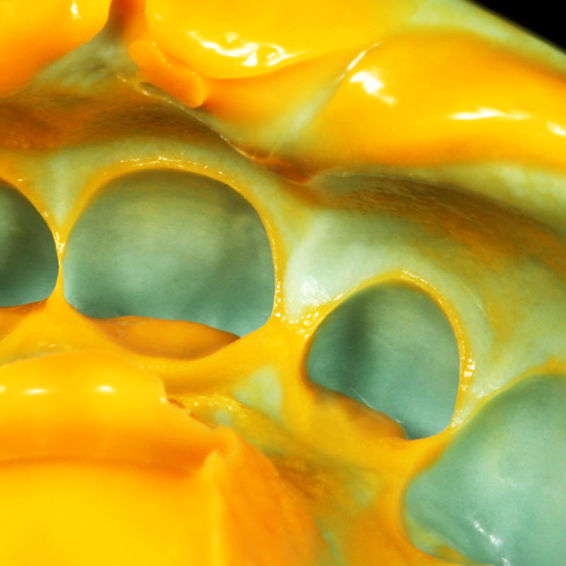 Oranwash L - Low Viscosity C-Silicone